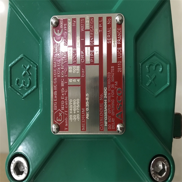 ASCO電磁閥 18900032.24V DC