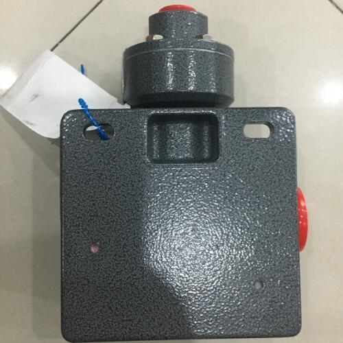 SOR流量傳感器54NN-K118-N4-B1A結構方式